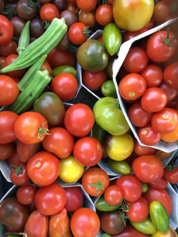 Fruchtgemüse - Paradeiser