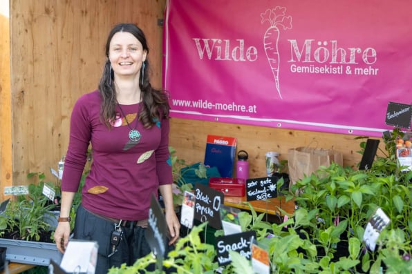 Wilde Möhre am Jungpflanzenmarkt