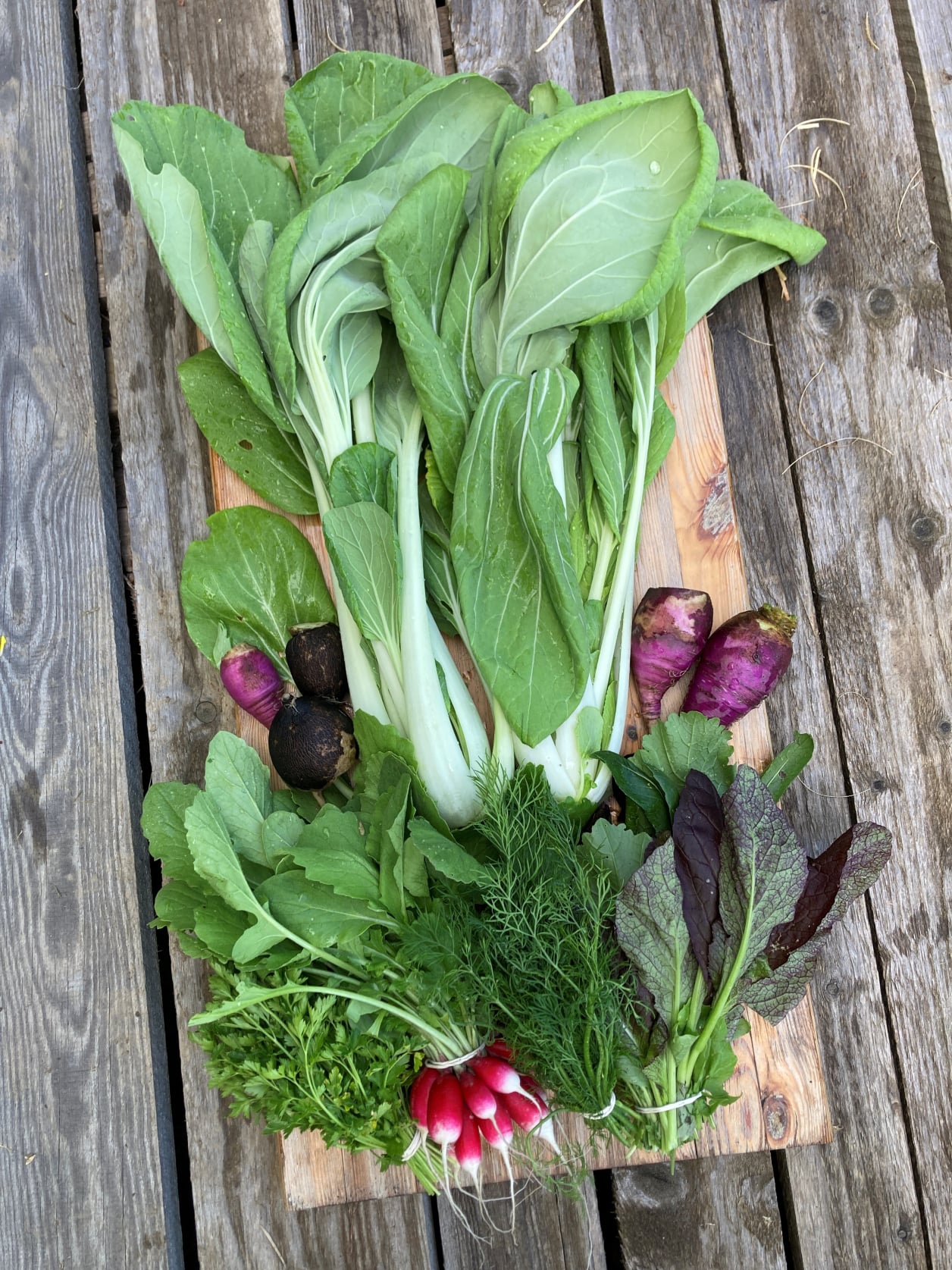 Wilde Möhre Gemüsekiste